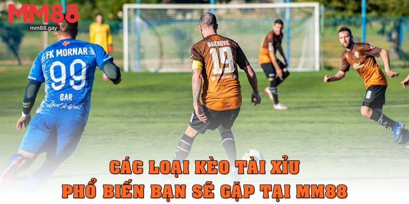 Các loại kèo tài xỉu phổ biến bạn sẽ gặp tại MM88