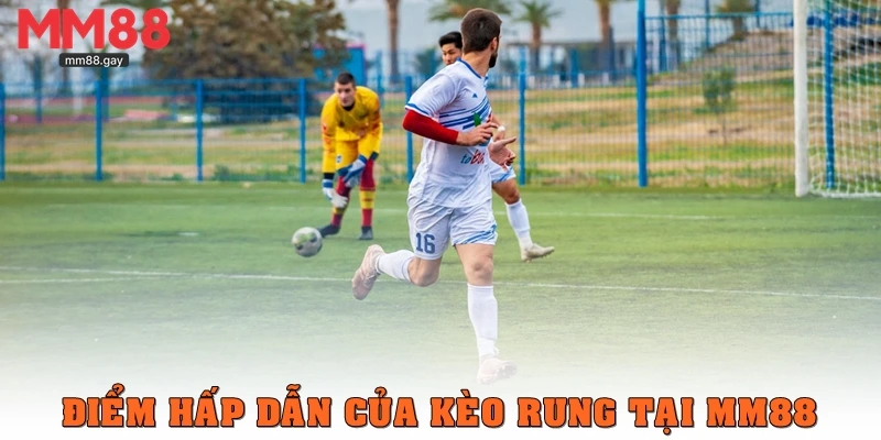 Điểm hấp dẫn của kèo rung tại MM88